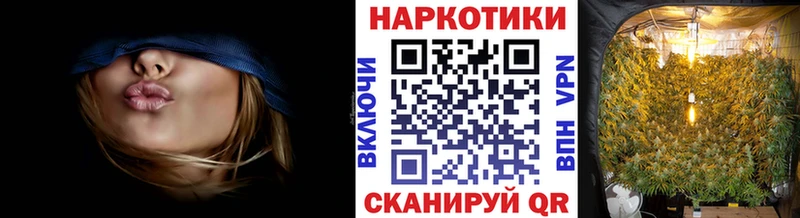  COCAIN Пионерский