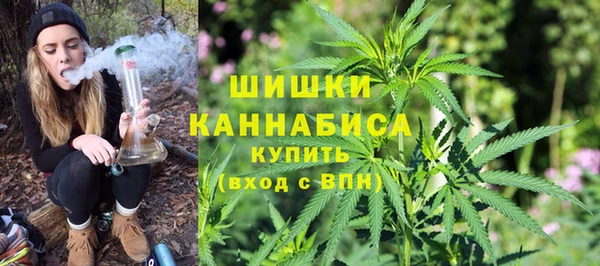mdpv Белокуриха