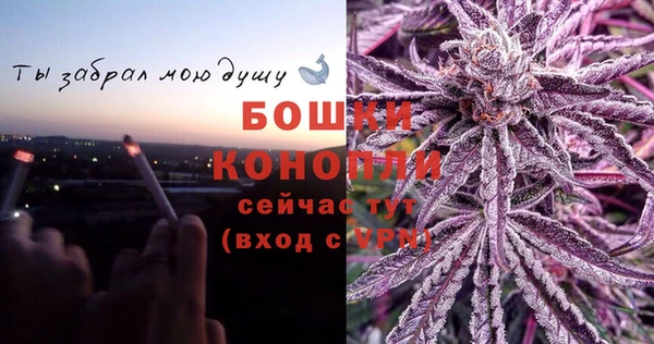 mdpv Белокуриха