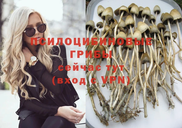 mdpv Белокуриха