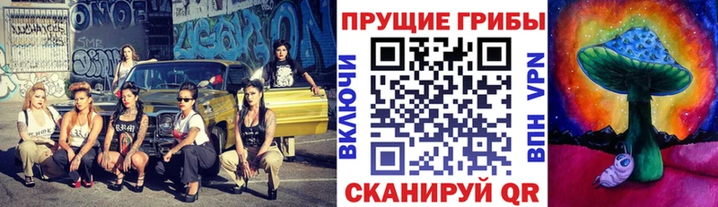 Псилоцибиновые грибы прущие грибы купить цена Пионерский
